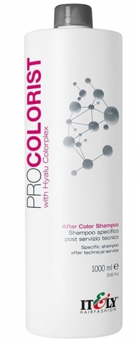 Шампунь после окрашивания волос нежный, Itely, ProColorist, After Color Shampoo, 250 мл, 1000 мл, 05071, 01870i – купить в Минске в интернет магазине косметики с доставкой - Azarina.by